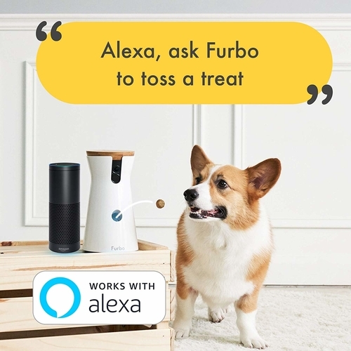 dog camera with treat tossing works with alexa